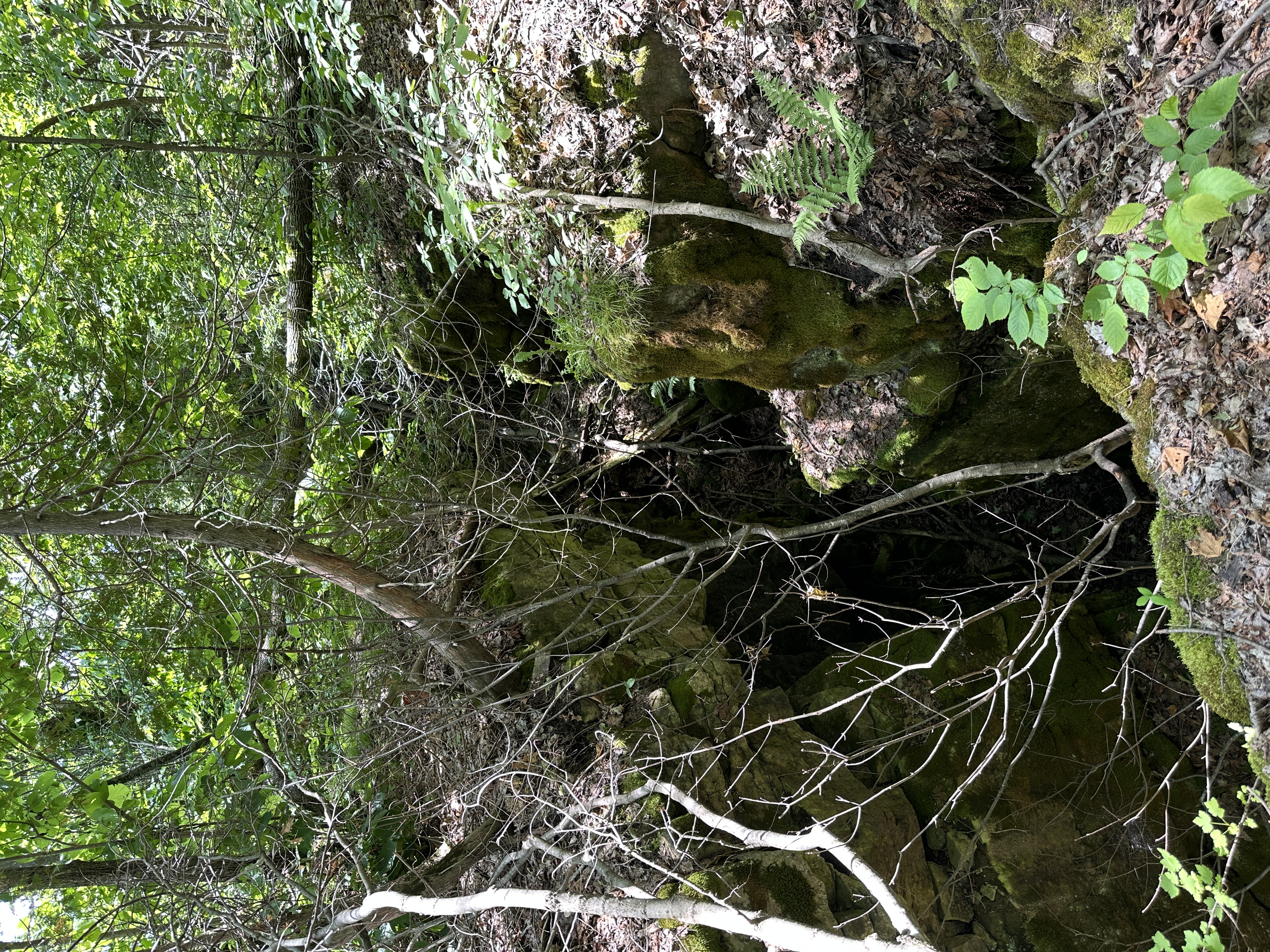 Rockhill loop
