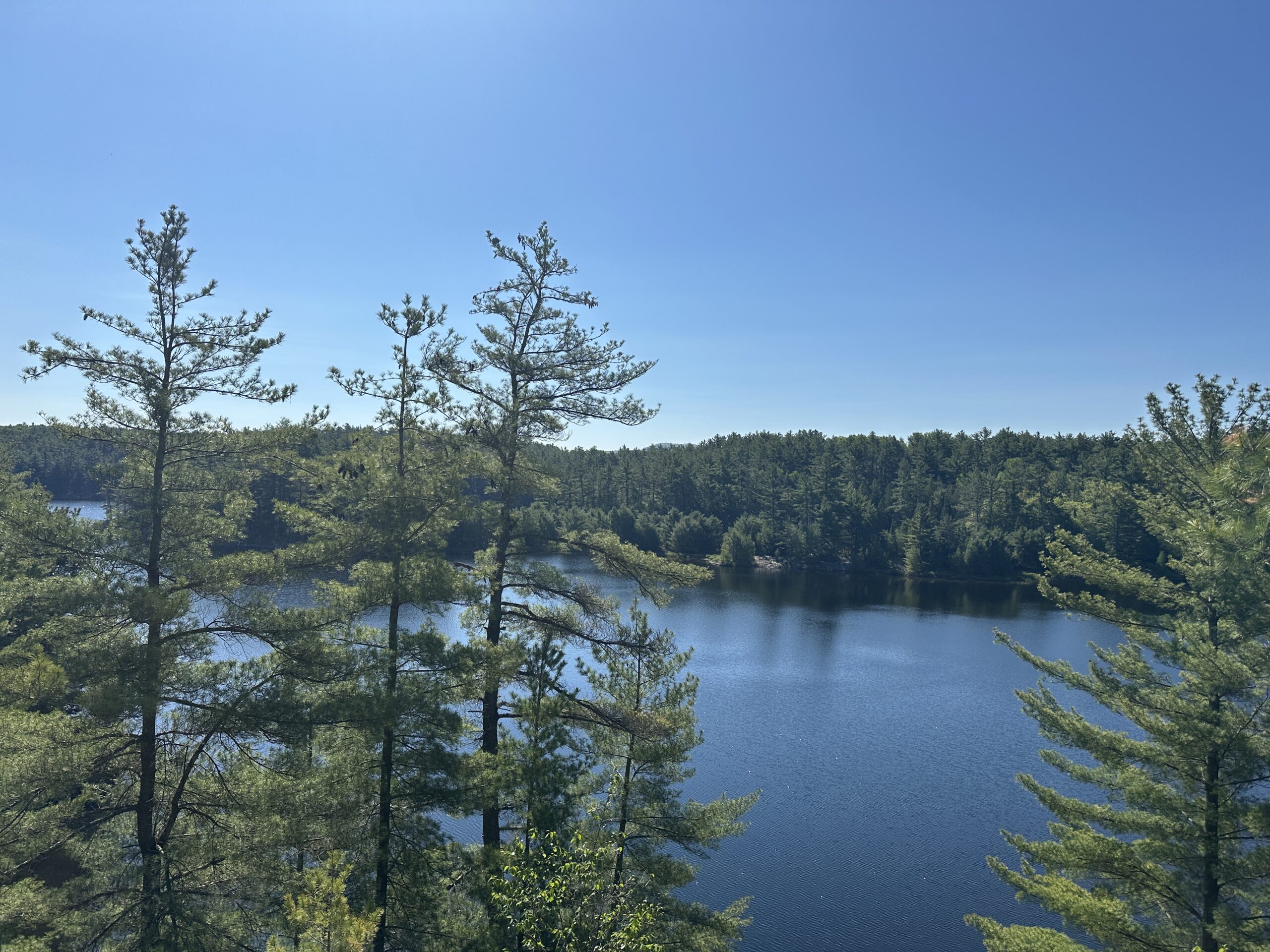 La Cloche Silhouette Day 3