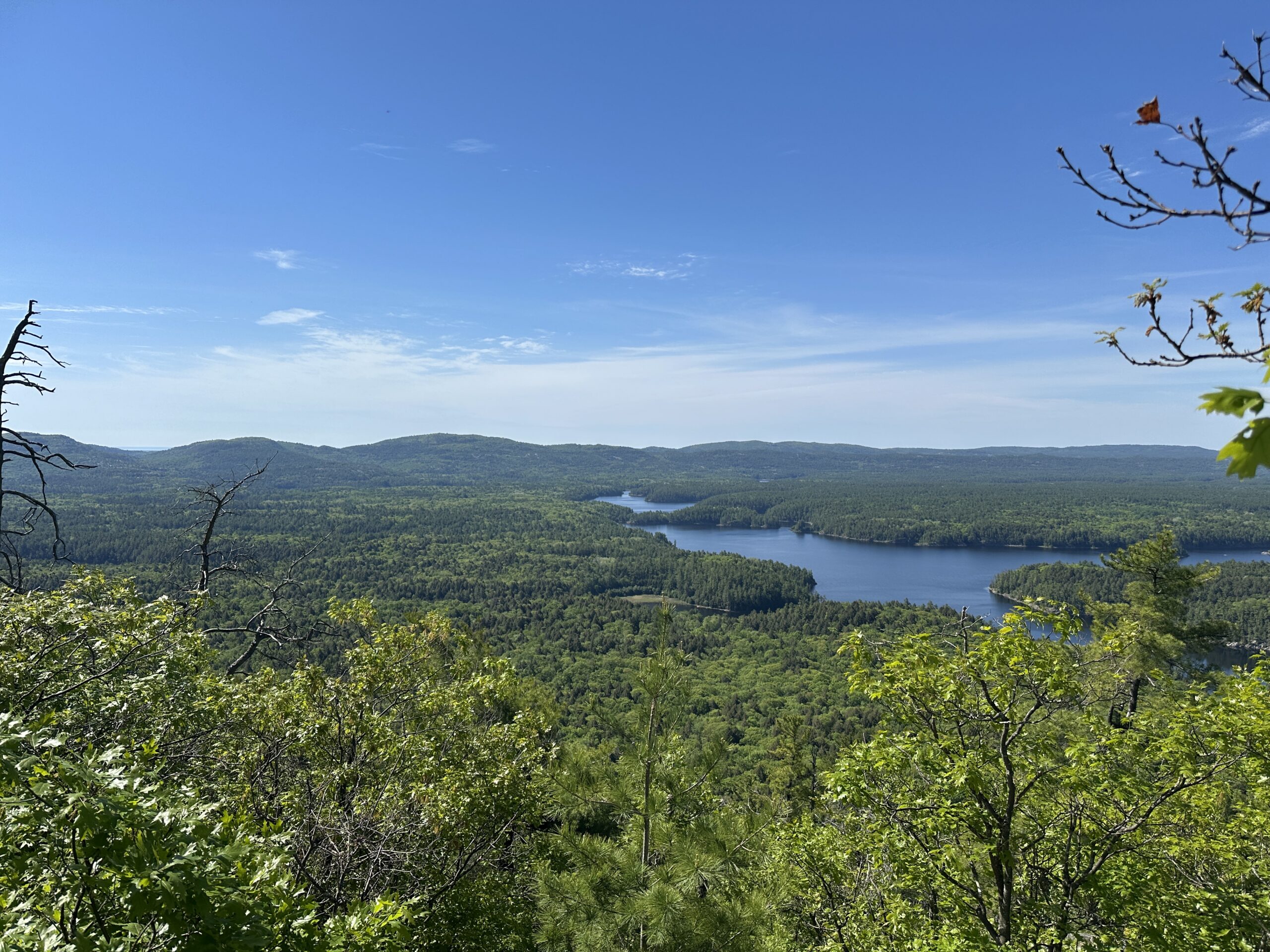 La Cloche Silhouette Day 4