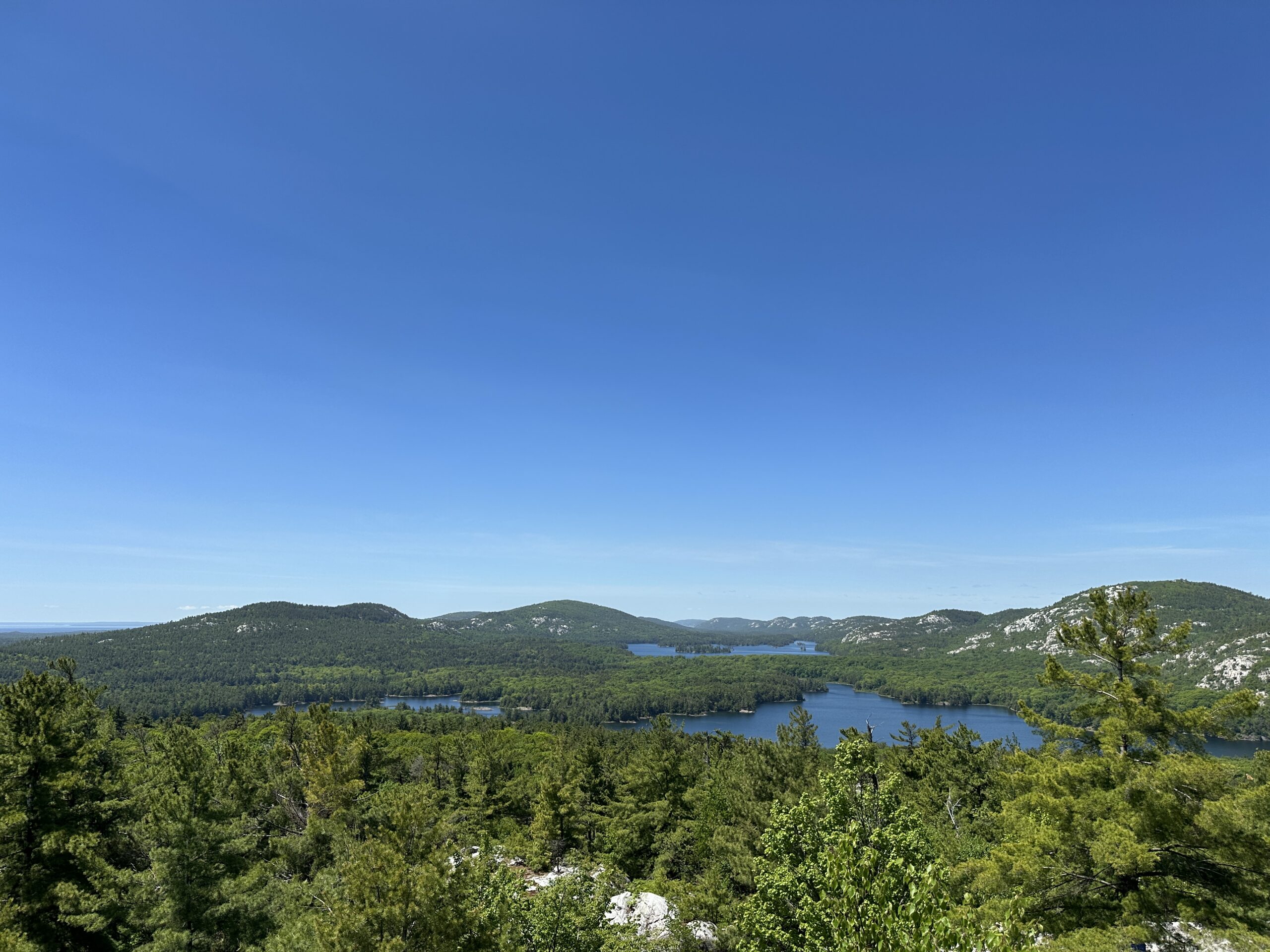 La Cloche Silhouette Day 7