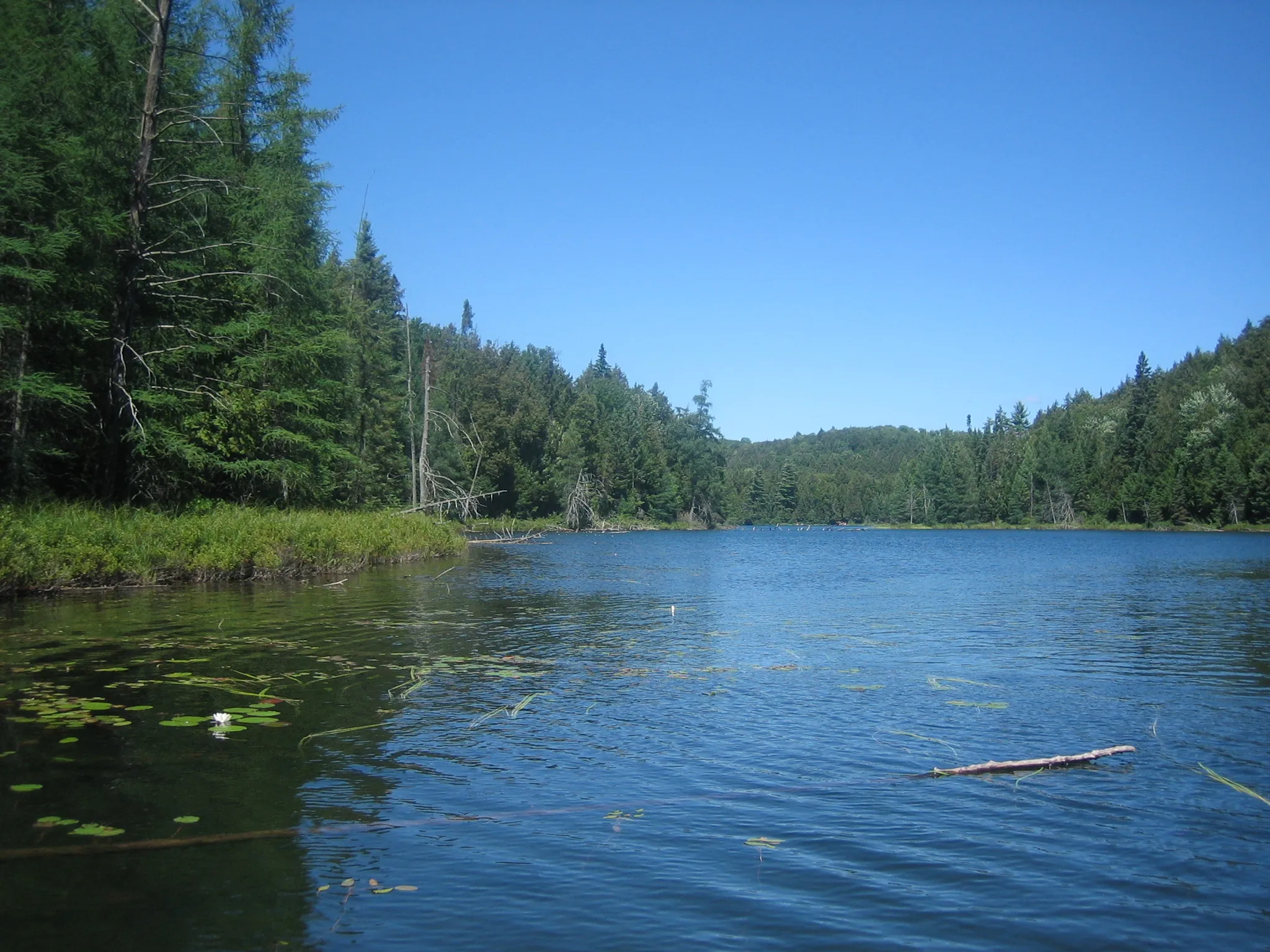 Rain Lake – Magnetawan Lake